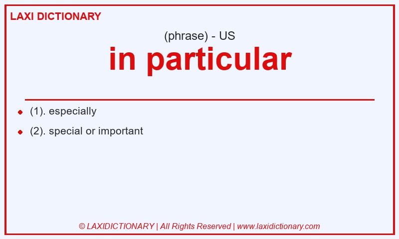 Definition in particular in American English