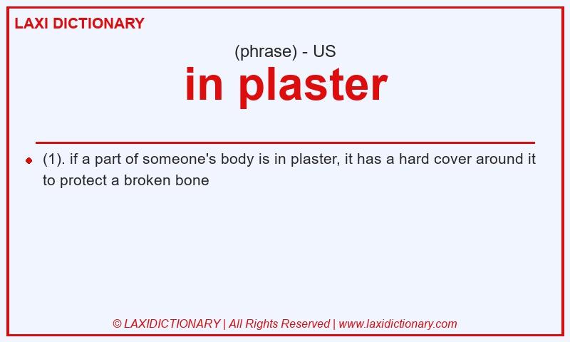 Definition in plaster in American English