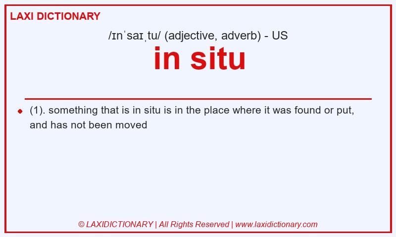 Definition in situ in American English