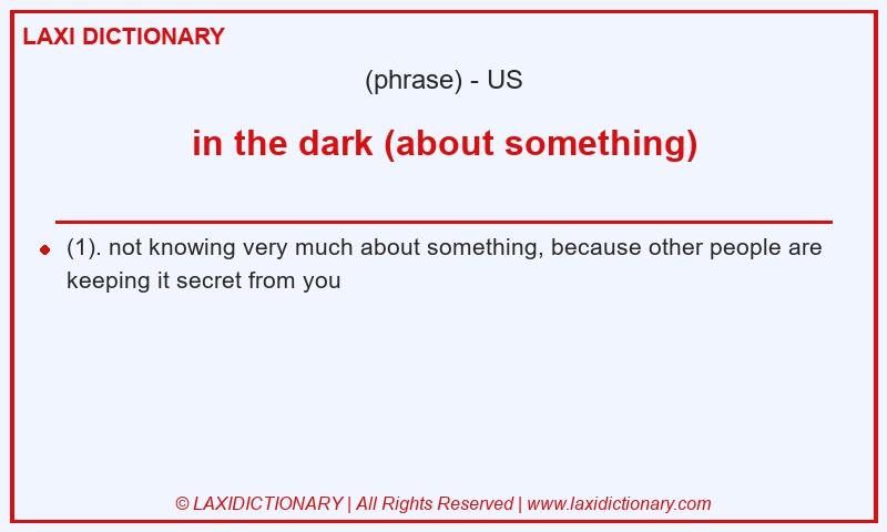 Definition in the dark (about something) in American English