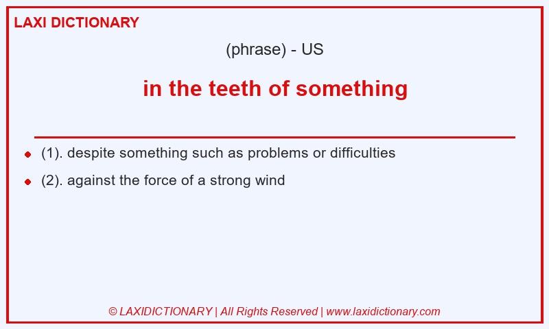Definition in the teeth of something in American English