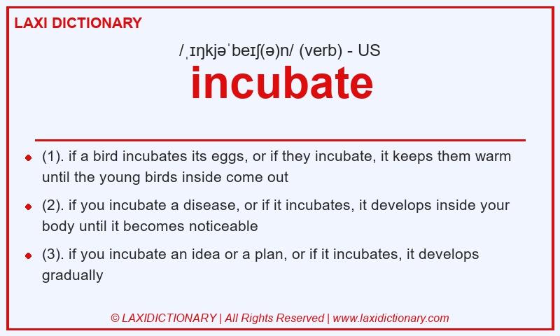 Definition incubate in American English