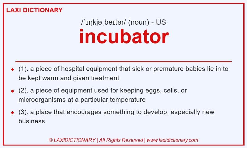 Definition incubator in American English