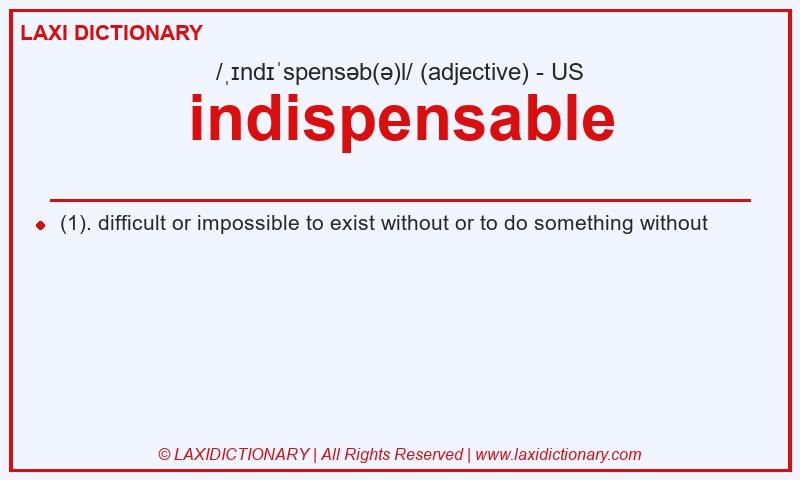 Definition indispensable in American English