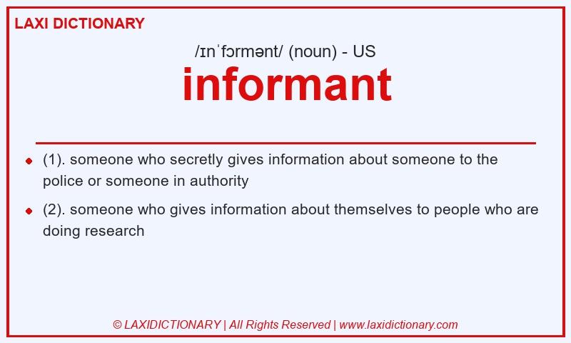 Definition informant in American English