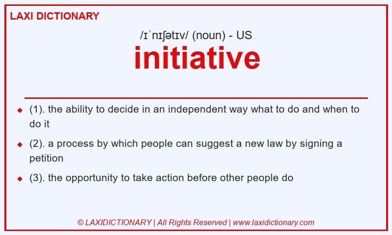 Definition initiative in American English