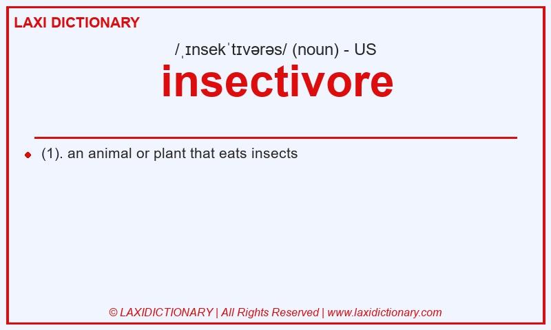 Definition insectivore in American English