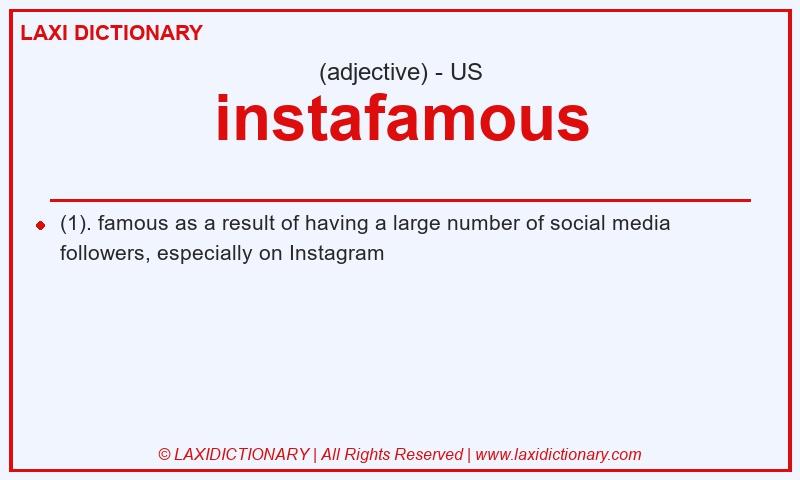 Definition instafamous in American English