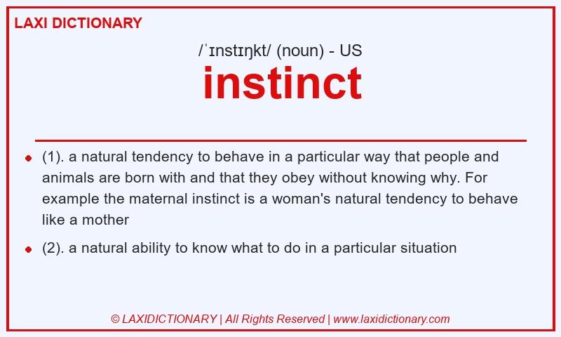 Definition instinct in American English
