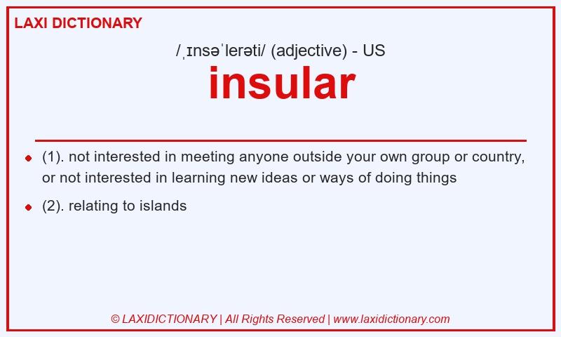 Definition insular in American English