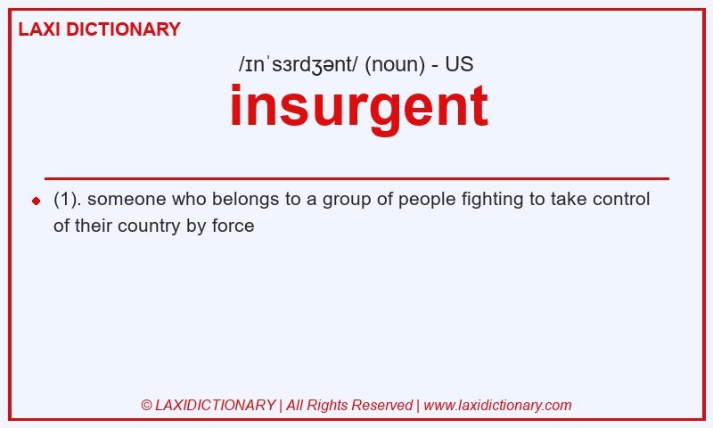 Definition insurgent in American English
