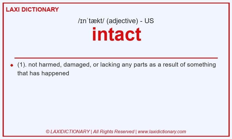 Definition intact in American English