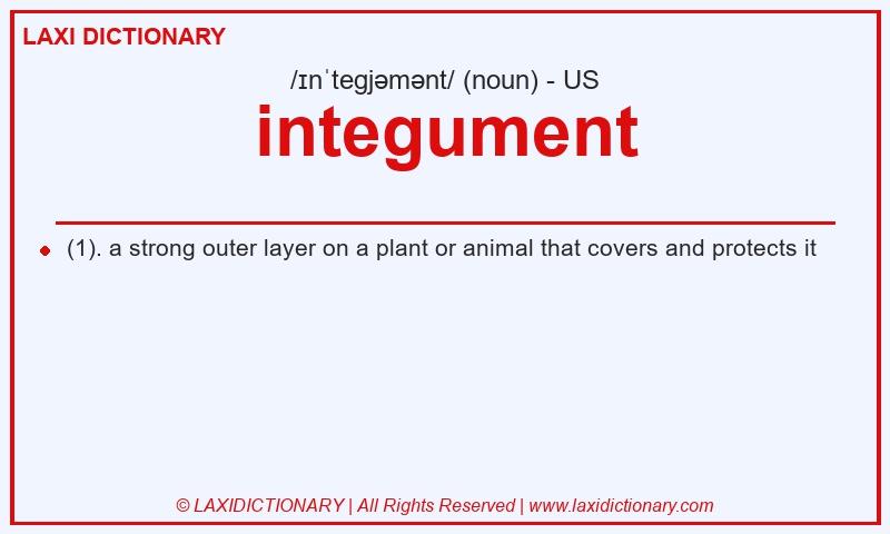 Definition integument in American English