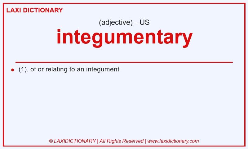 Definition integumentary in American English