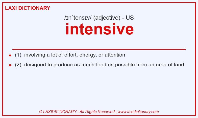 Definition intensive in American English