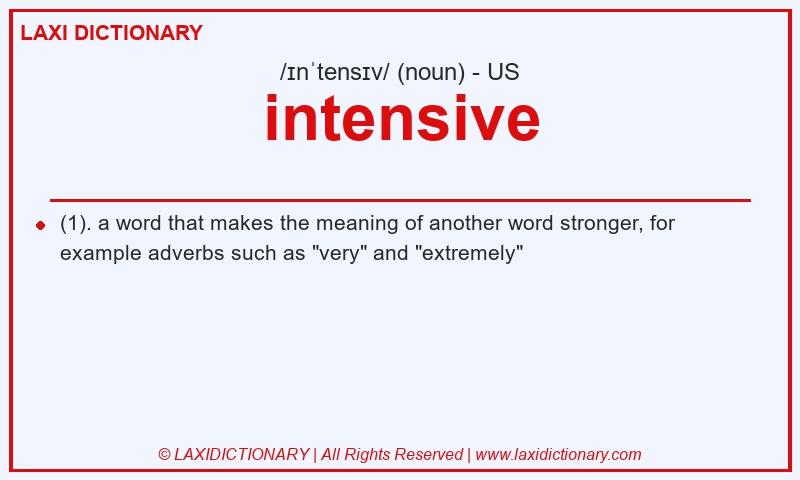 Definition intensive in American English
