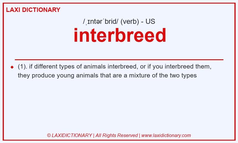 Definition interbreed in American English