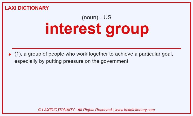 Definition interest group in American English