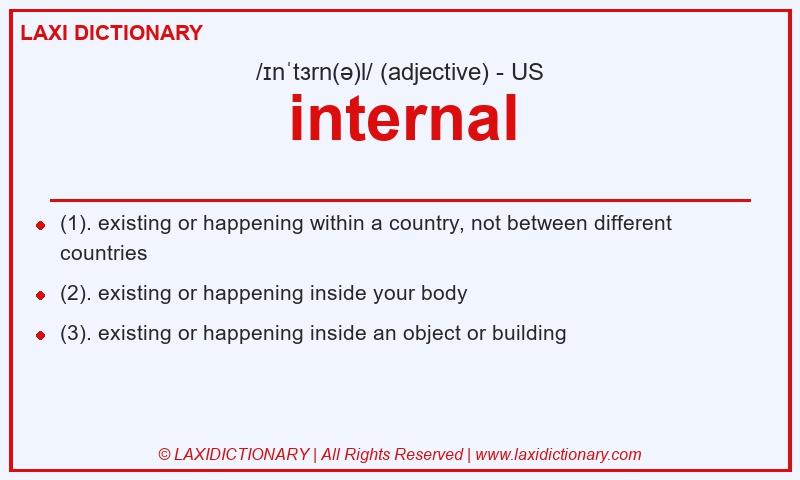 Definition internal in American English