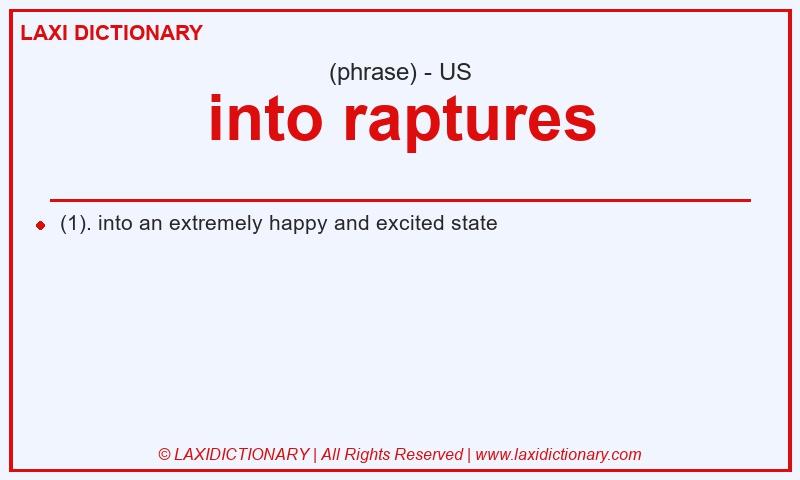 Definition into raptures in American English