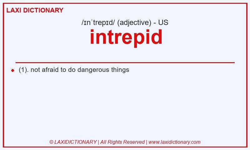 Definition intrepid in American English