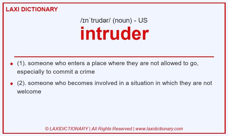 Definition intruder in American English