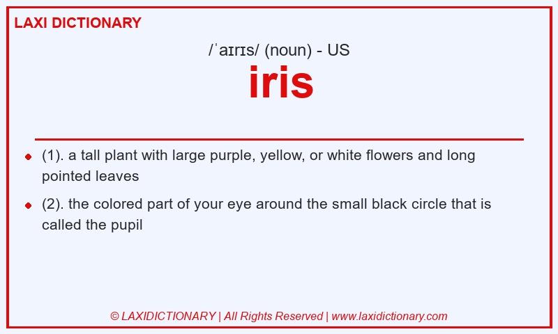 Definition iris in American English