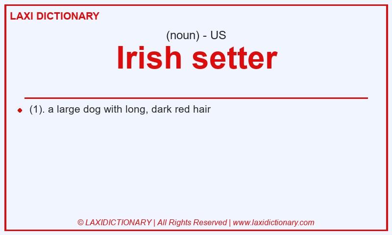 Definition Irish setter in American English