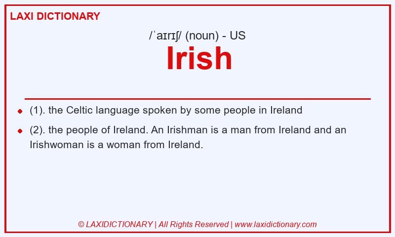 Definition Irish in American English