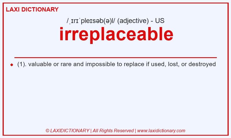 Definition irreplaceable in American English