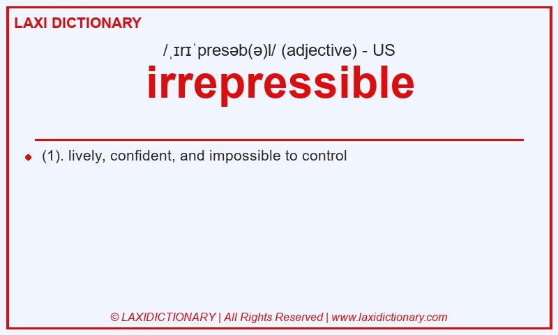 Definition irrepressible in American English