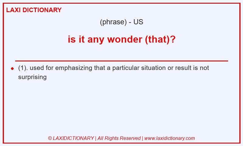 Definition is it any wonder (that)? in American English