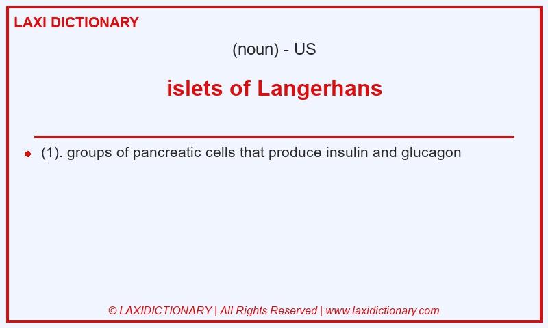 Definition islets of Langerhans in American English