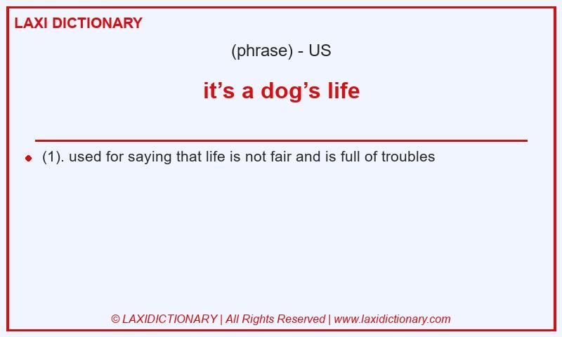 Definition it’s a dog’s life in American English