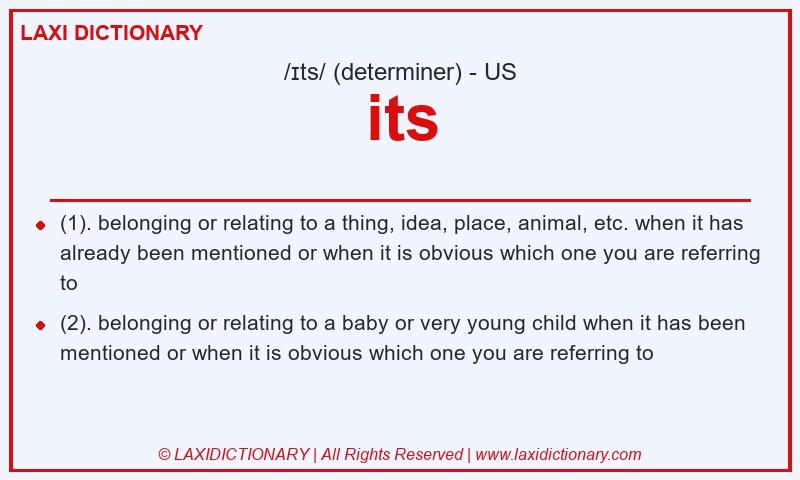 Definition its in American English