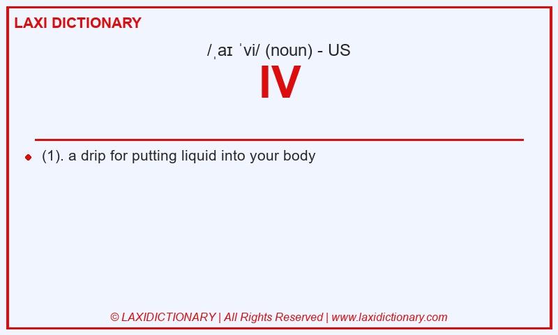 Definition IV in American English