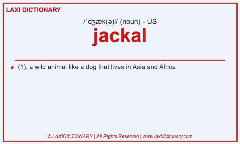 Definition jackal in American English