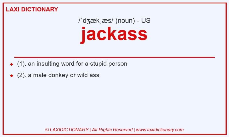 Definition jackass in American English