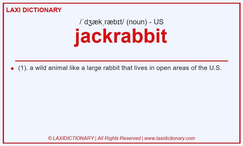 Definition jackrabbit in American English