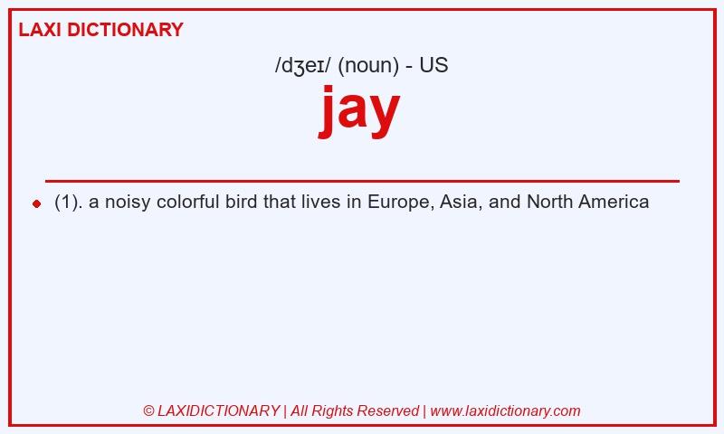 Definition jay in American English