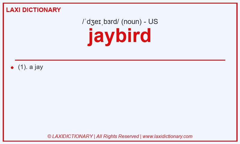 Definition jaybird in American English