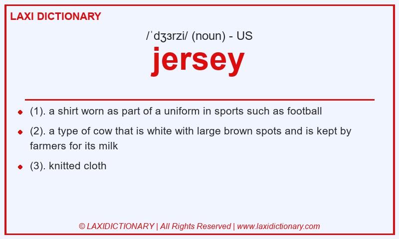 Definition jersey in American English