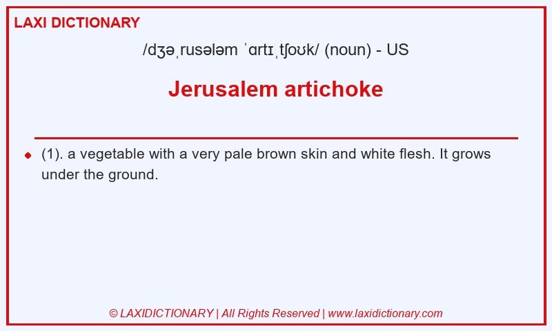 Definition Jerusalem artichoke in American English