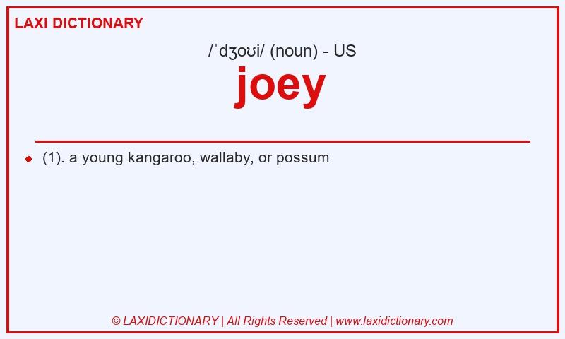 Definition joey in American English
