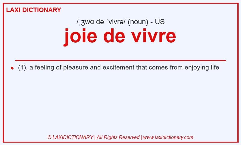 Definition joie de vivre in American English