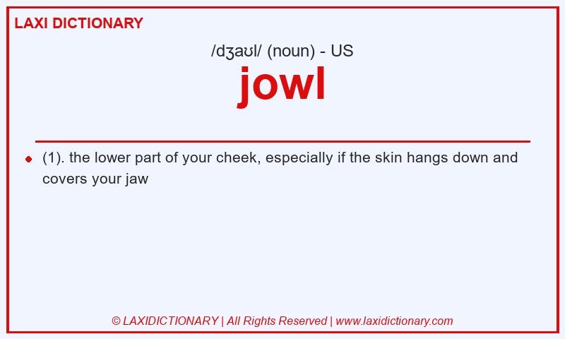 Definition jowl in American English