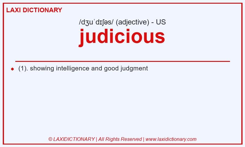 Definition judicious in American English