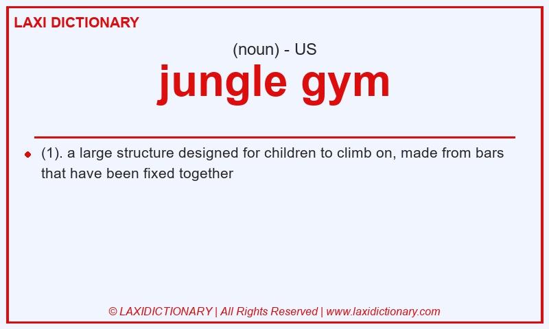 Definition jungle gym in American English