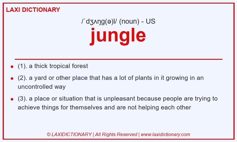 Definition jungle in American English