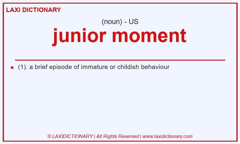 Definition junior moment in American English